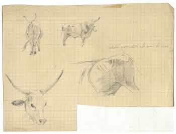 Visualizza l'immagine "FD D 160"